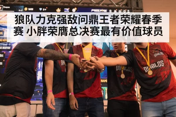 狼队力克强敌问鼎王者荣耀春季赛 小胖荣膺总决赛最有价值球员