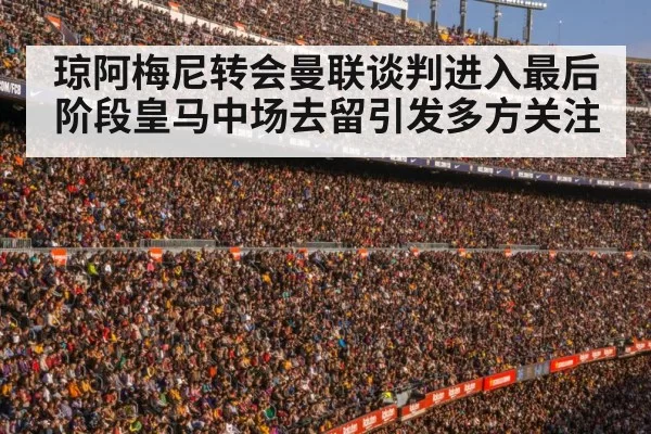 football stadium crowd